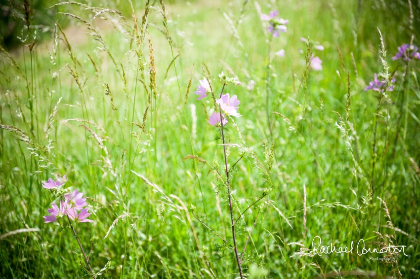 Professional colour photograph of Sarah and Gary's family lifestyle shoot by Rachael Connerton Photography